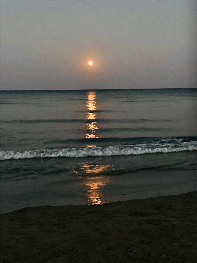 Lara 303 Daire Larnaca Dış mekan fotoğraf